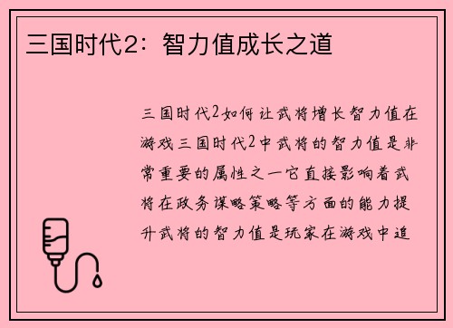 三国时代2：智力值成长之道